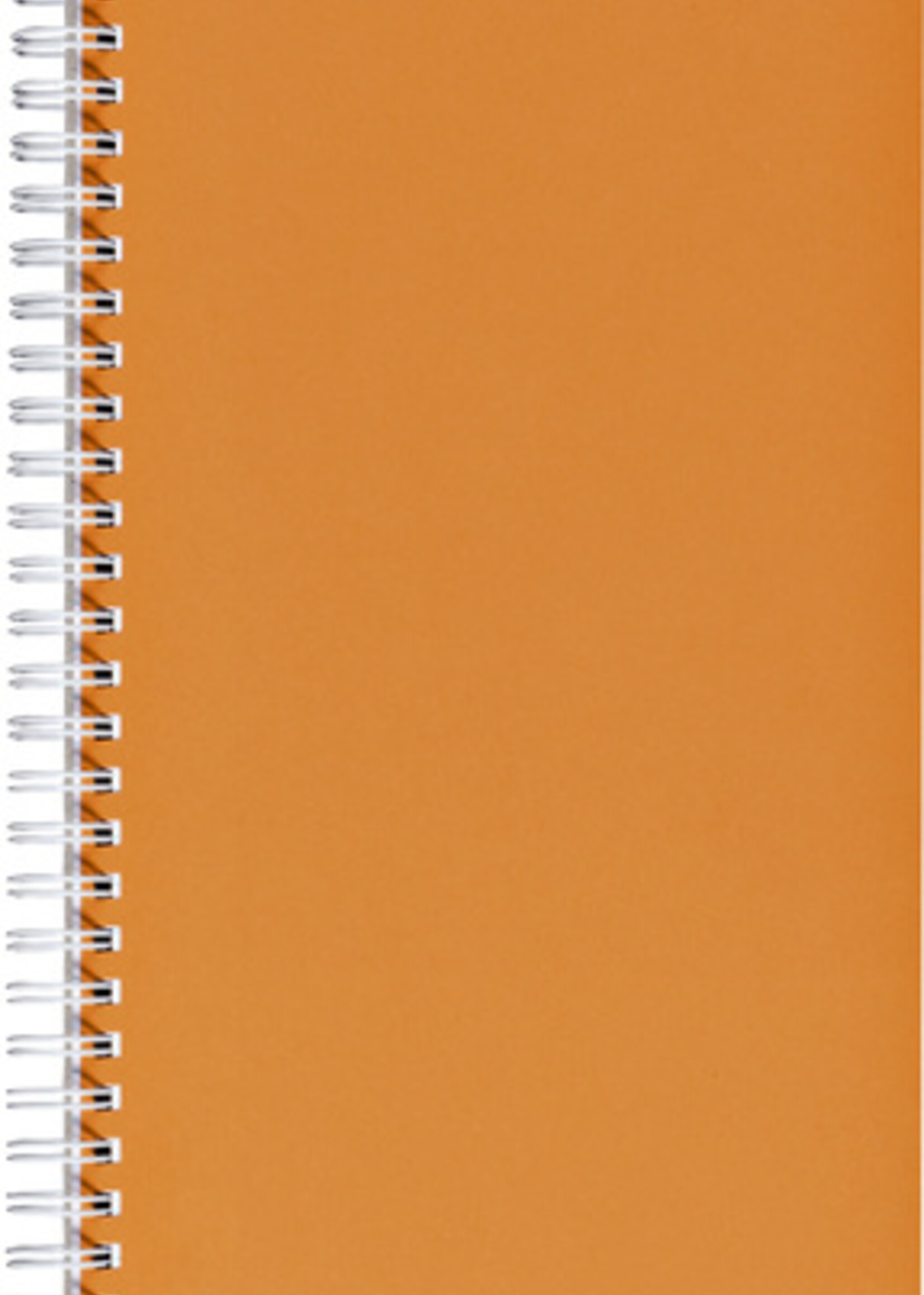 Office Livre d'inventaire 135x330mm ligné 160 pages 70g spirale orange