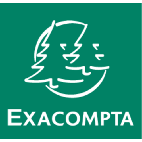 Exacompta Registre Piqûre actionnaires NV/SA 250x320mm 80 feuilles vert