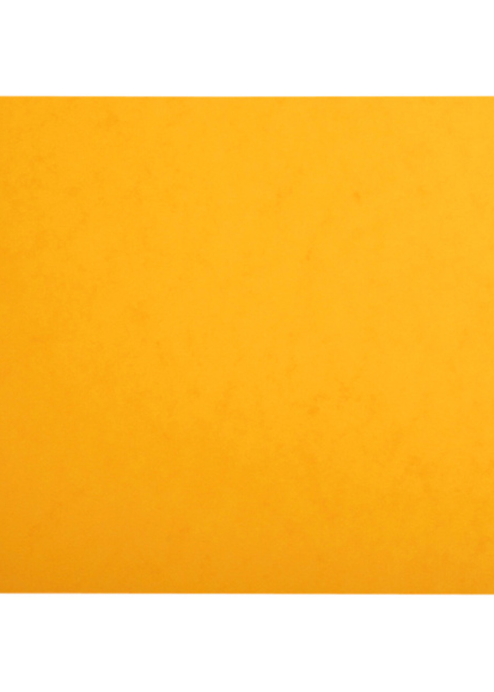 Exacompta Registre des titres Piqûre SRL-BV 240x320 80 feuilles jaune