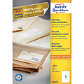 Avery Zweckform Etiket Avery Zweckform LR3478 210x297mm A4 recycled wit 100stuks