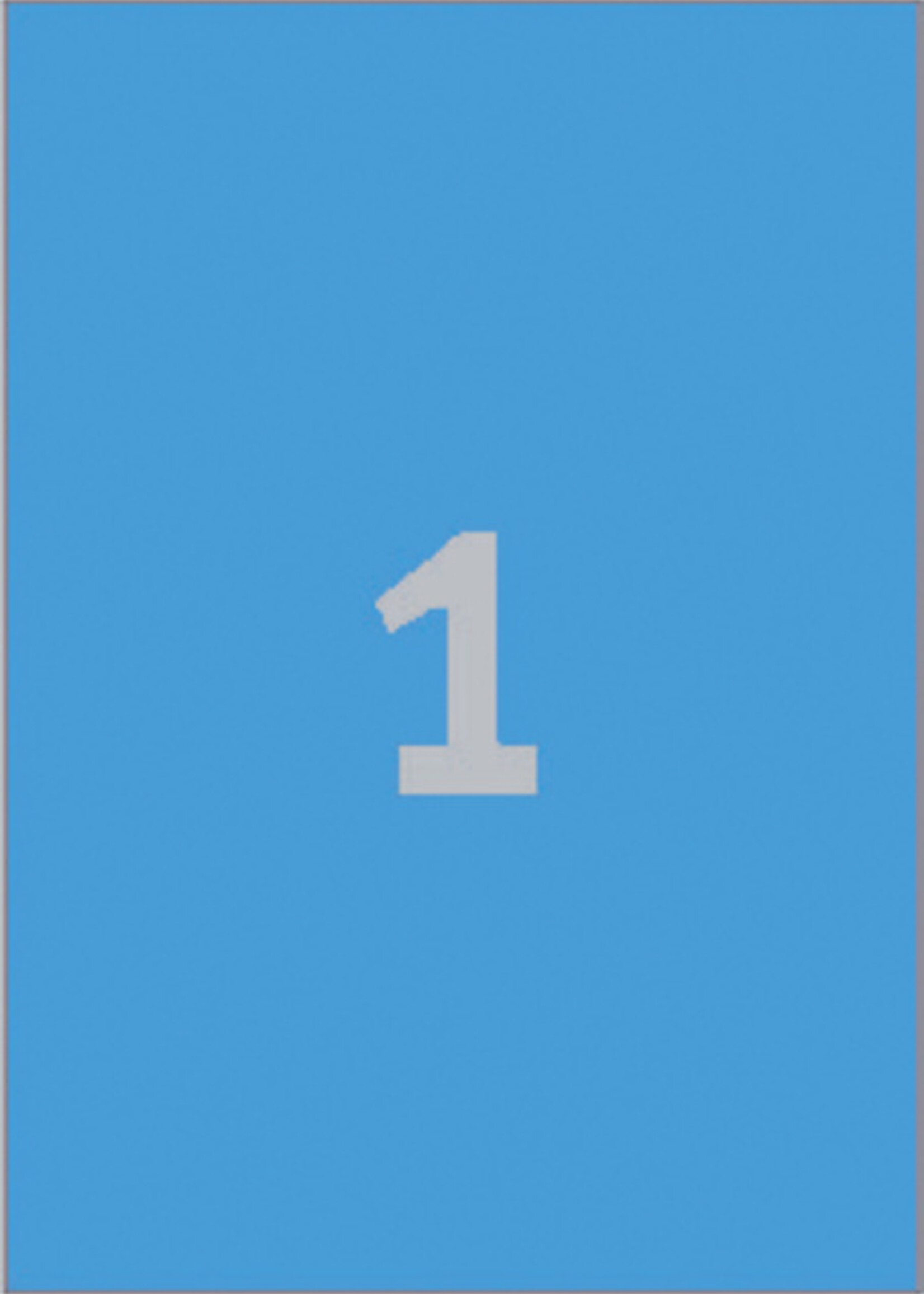 Avery Zweckform Etiket Avery Zweckform 3471 210x297mm A4 blauw 100stuks