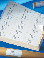 Avery Etiquette Avery Zweckform T3014 102x36,1mm 1 rangée blanc 4000 pcs