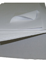 Blana Etiquettes Blana PostNL 105x148.5mm thermique 2000 pièces