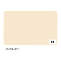 Folia Paper Carton photo Folia 2face 50x70cm 300g nr 01 champagne