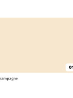Folia Paper Carton photo Folia 2face 50x70cm 300g nr 01 champagne