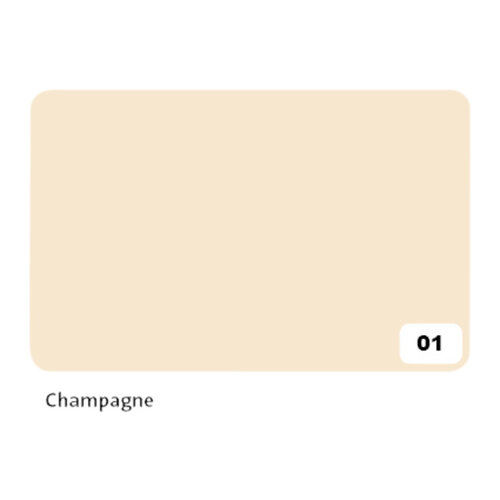 Folia Paper Carton photo Folia 2face 50x70cm 300g nr 01 champagne