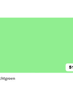 Folia Paper Fotokarton Folia 2zijdig 50x70cm 300gr nr51 lichtgroen