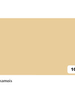 Folia Paper Carton photo Folia 2face 50x70cm 300g nr 10 chamois