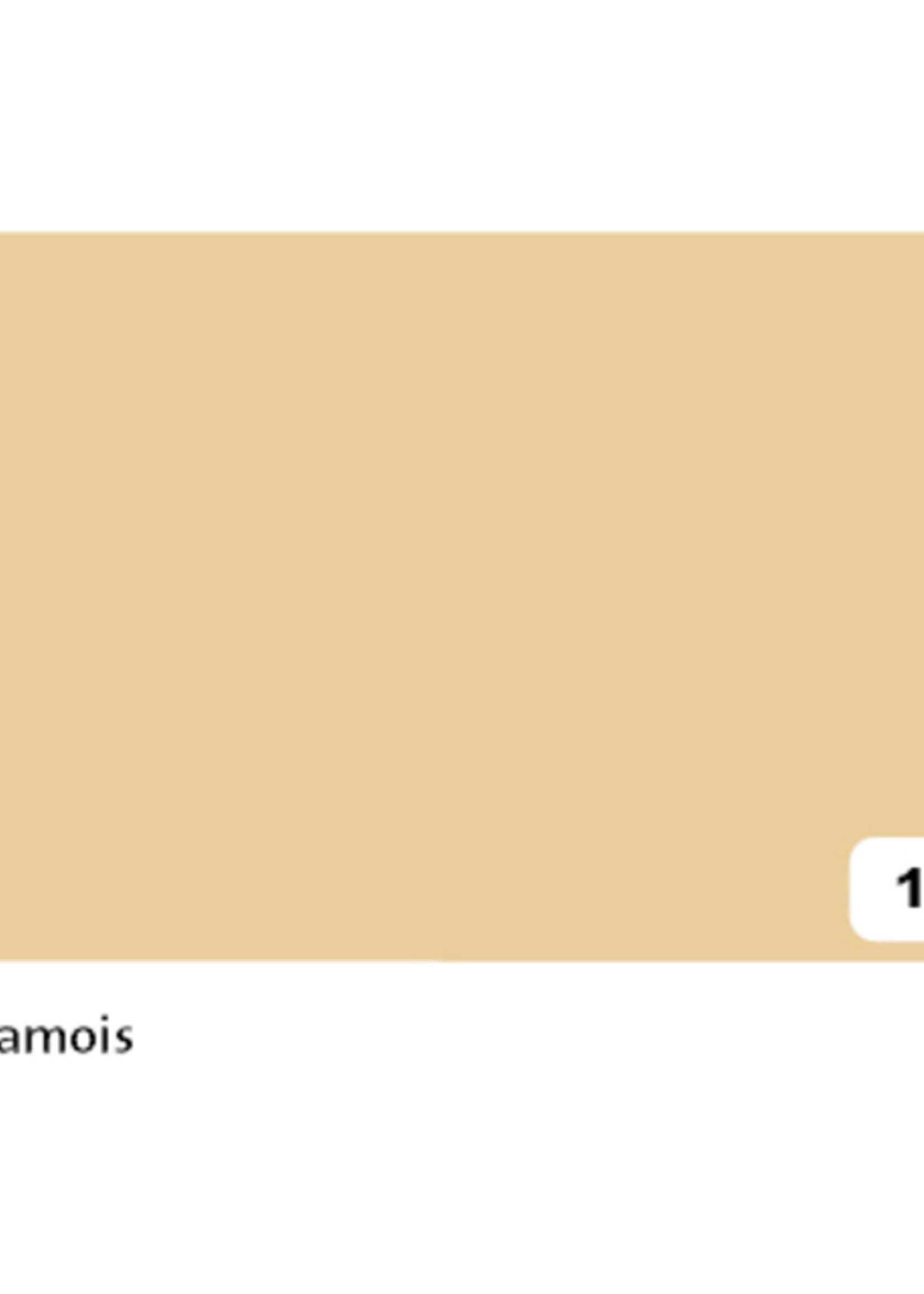 Folia Paper Fotokarton Folia 2zijdig 50x70cm 300gr nr10 chamois