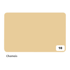 Carton photo Folia 2face 50x70cm 300g nr 10 chamois