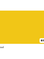 Folia Paper Carton bricolage Folia 48x68cm 380g nr 611 doré