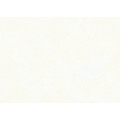 Folia Paper Papier de soie Folia 50x70cm 20g nr 00 blanc set 5fls