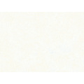 Folia Paper Zijdevloeipapier Folia 50x70cm 20g nr00 wit set à 5vel