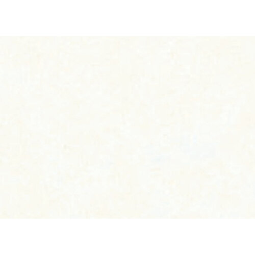 Folia Paper Papier de soie Folia 50x70cm 20g nr 00 blanc set 5fls