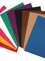 Folia Paper Carton ondulé Folia 35x50cm assorit