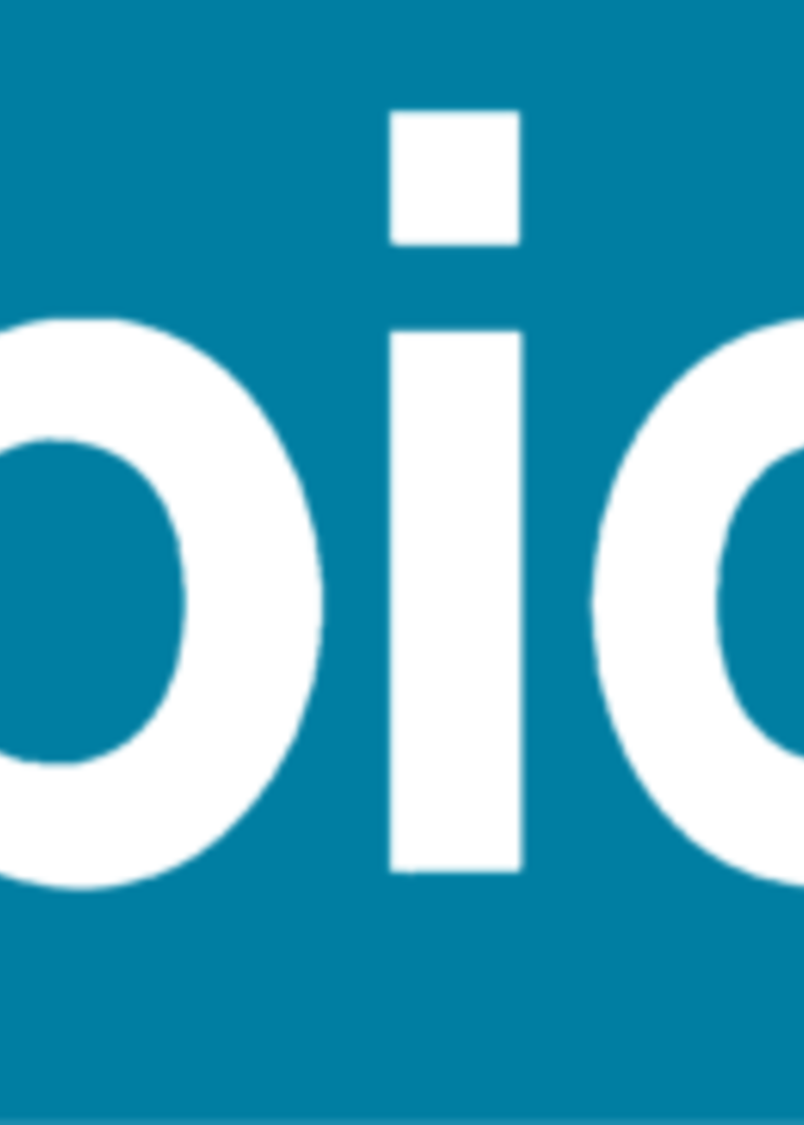 Rapid Agrafes Rapid 23/17 galvanisé strong 1000 pcs