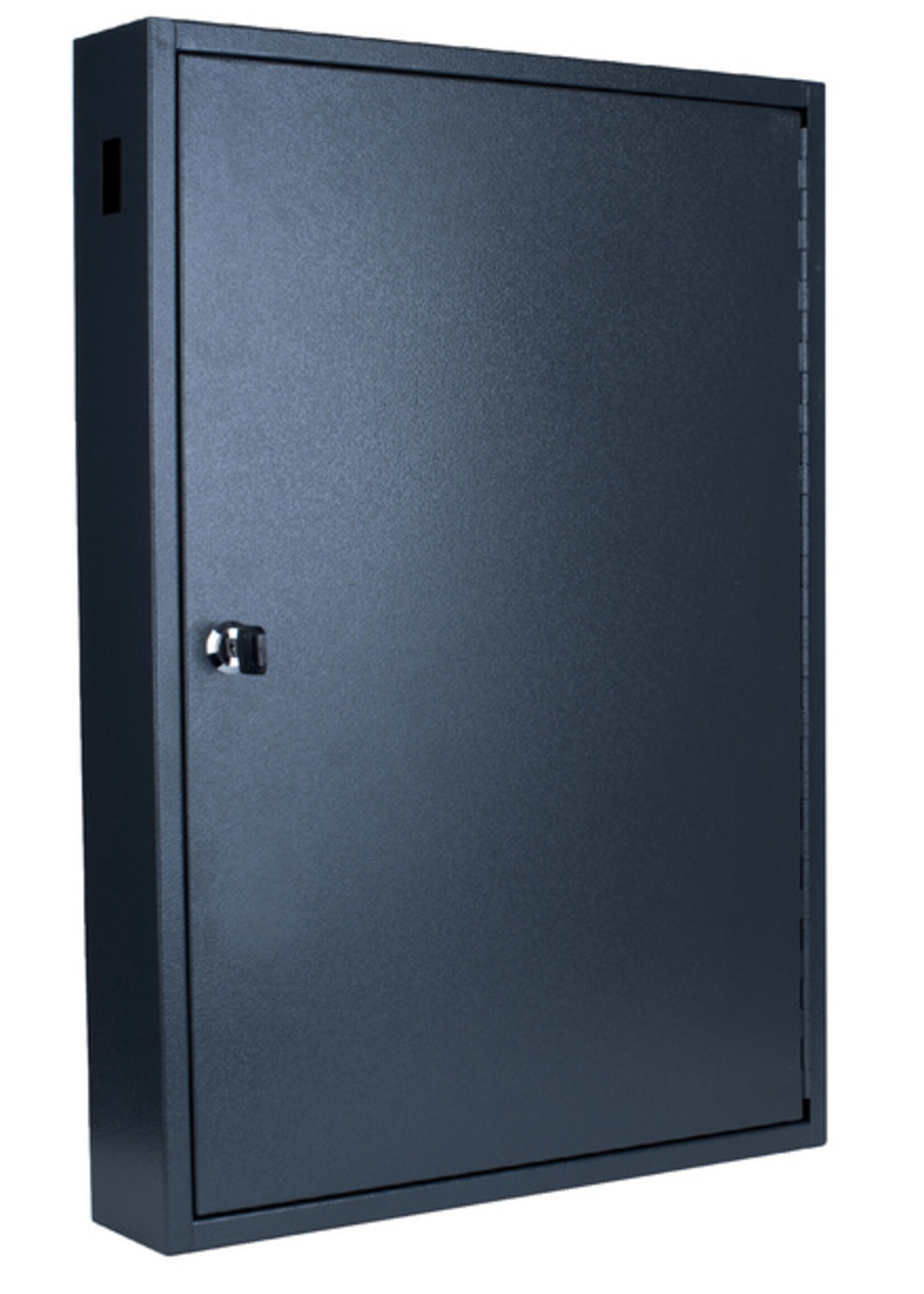 Pavo Armoire à clés Pavo Luxe 100 crochets 550x380x90mm