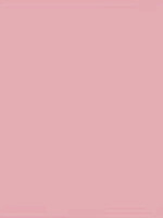 Oxford Bande de séparation Oxford étroit 240x105mm 190g rose
