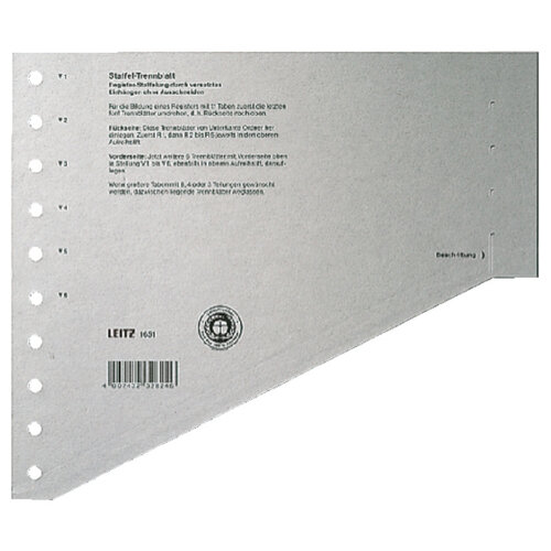 Leitz Intercalaires Leitz 1651 carton 200g A4 11 perforations gris