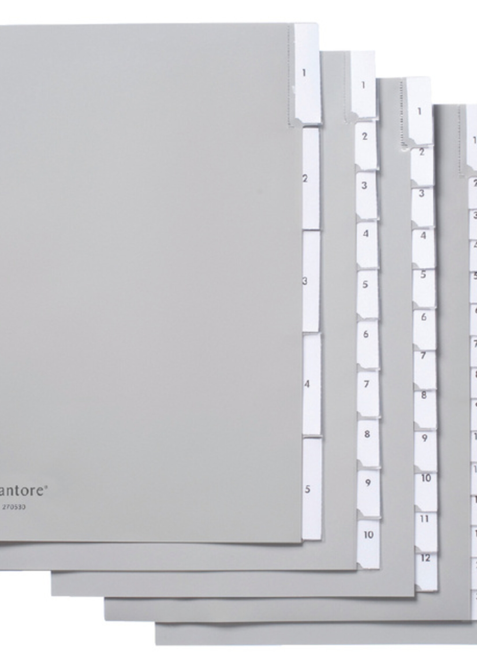 Quantore Intercalaires Quantore 4 perf 20 onglets A-Z gris PP