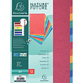 Exacompta Tabbladen Exacompta 225x297mm 11-gaats 12-delig glanskarton
