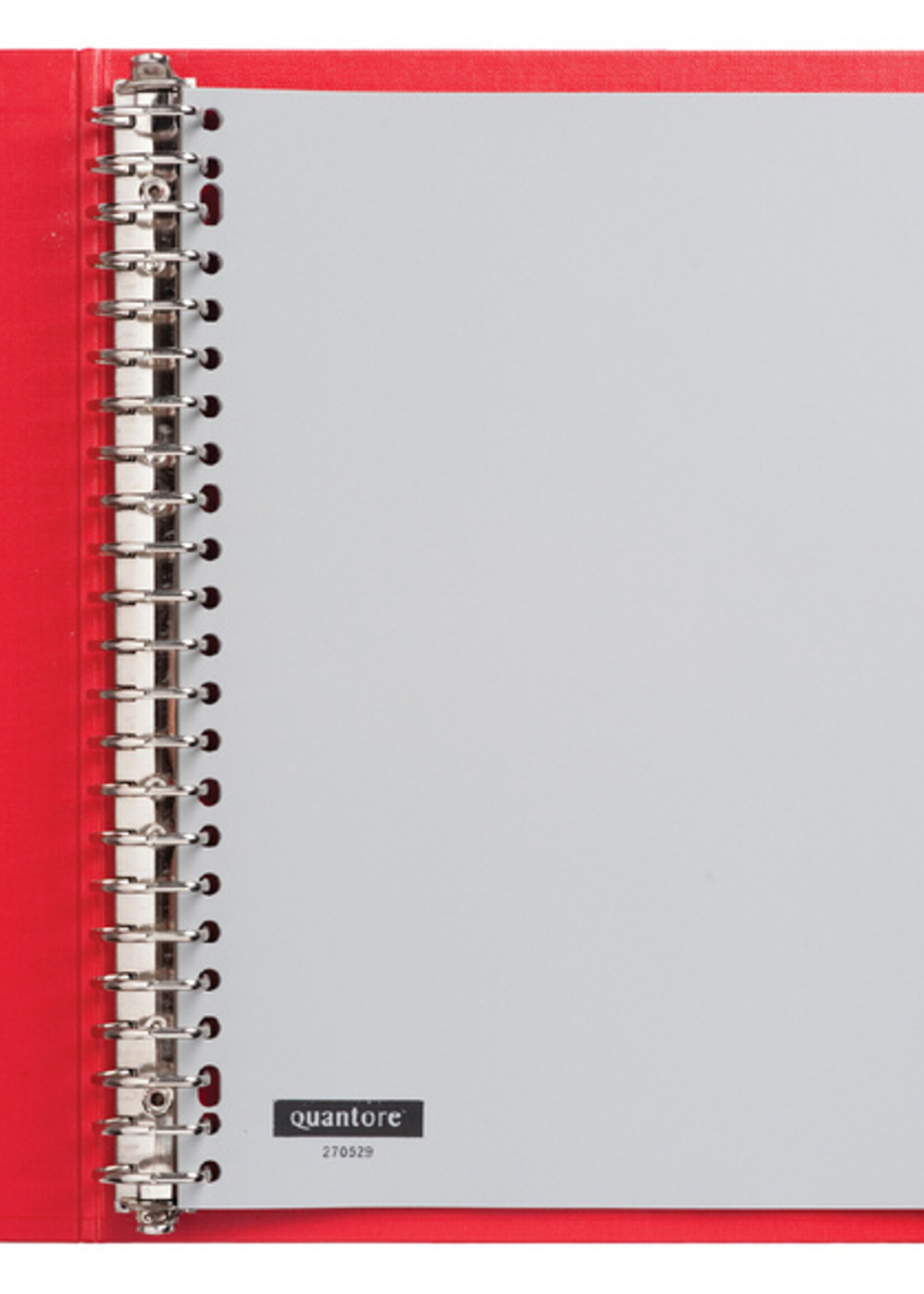 Quantore Intercalaires Quanotre 23 perf 20 onglets A-Z gris PP