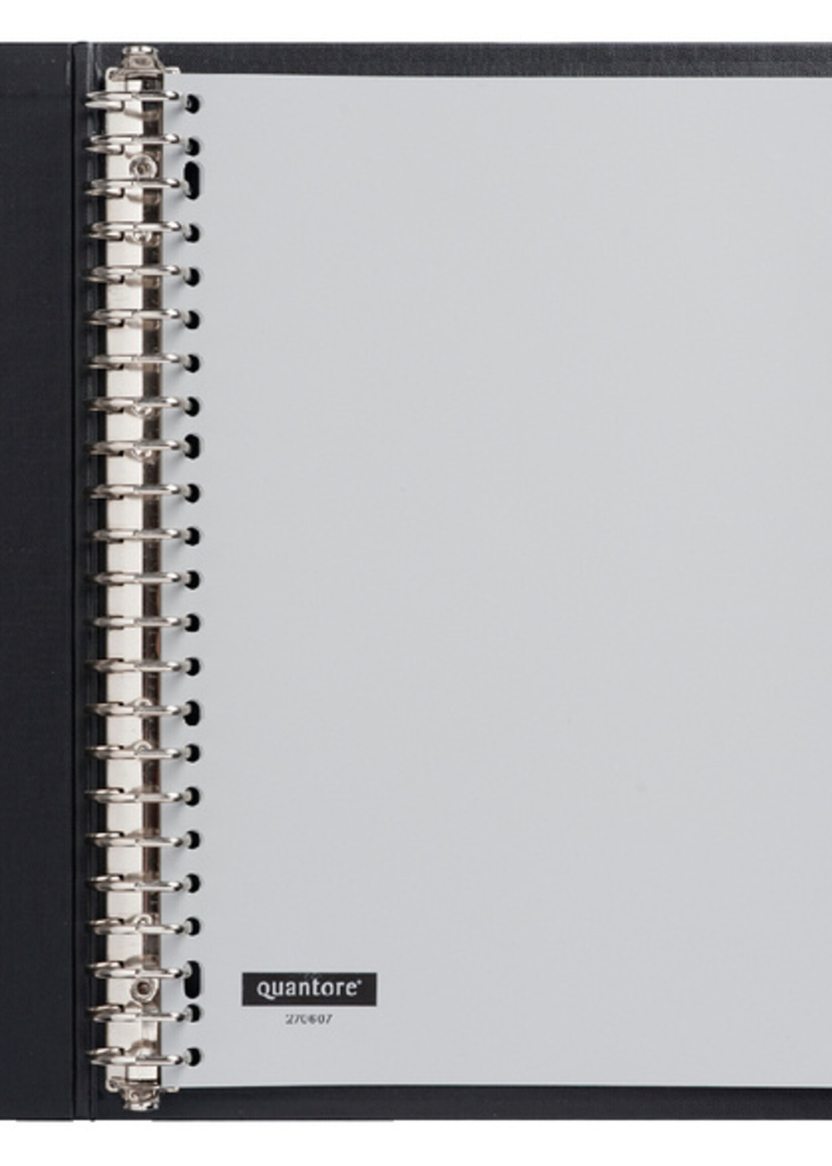 Quantore Intercalaires Quantore 23 perf 15 onglets à fenêtre gris PP