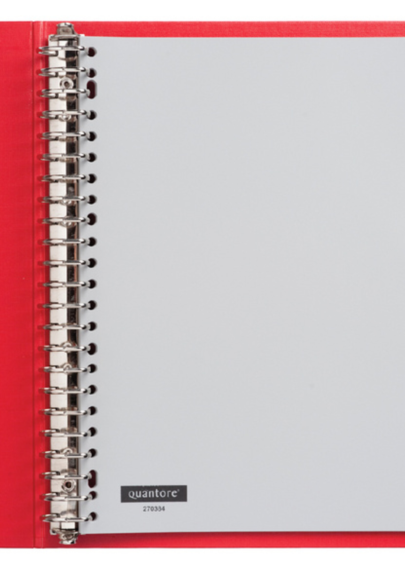 Quantore Tabbladen Quantore 23-gaats 1-31 genummerd extra breed PP