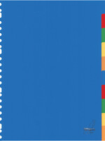 Kangaro Intercalaires Kangaro 23 perf A410M 10 onglets assorti PP