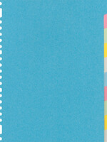 Kangaro Tabbladen Kangaro 23-gaats RY410M 10-delig assorti karton