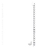 Kangaro Intercalaires Kangaro 23 perf PK420AZM 20 onglets A-Z carton