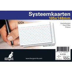 Systeemkaarten A6 105x148mm 100 stuks