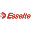 Esselte Vouwmap Esselte A4 manilla 180gr grijs