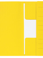 Jalema Chemise jalema Mammouth 270g in-folio jaune