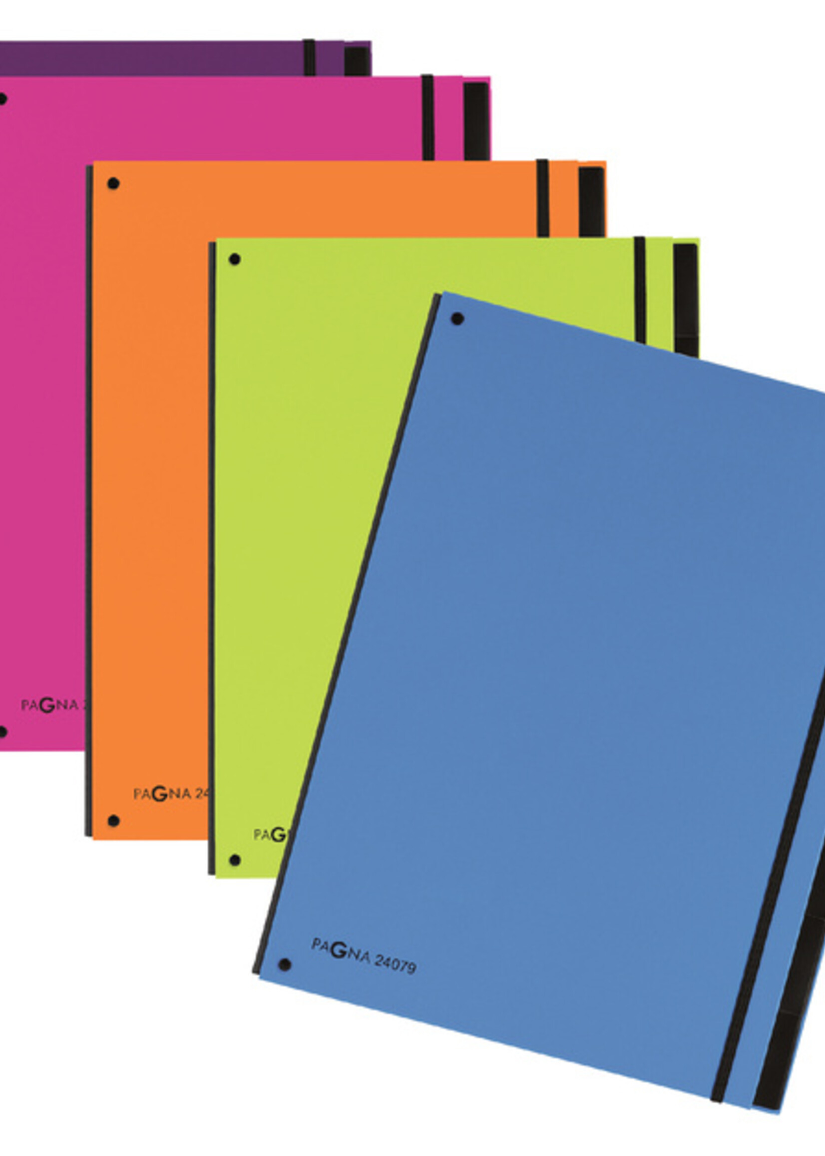 PAGNA Trieur Pagna Trend A4 12 intercalaires vert pomme