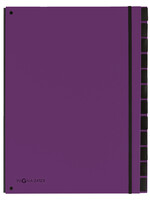 PAGNA Trieur Pagna Trend A4 12 intercalaires lilas