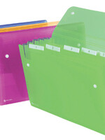 Rexel Sorteermap Rexel Ice 6-vaks assorti