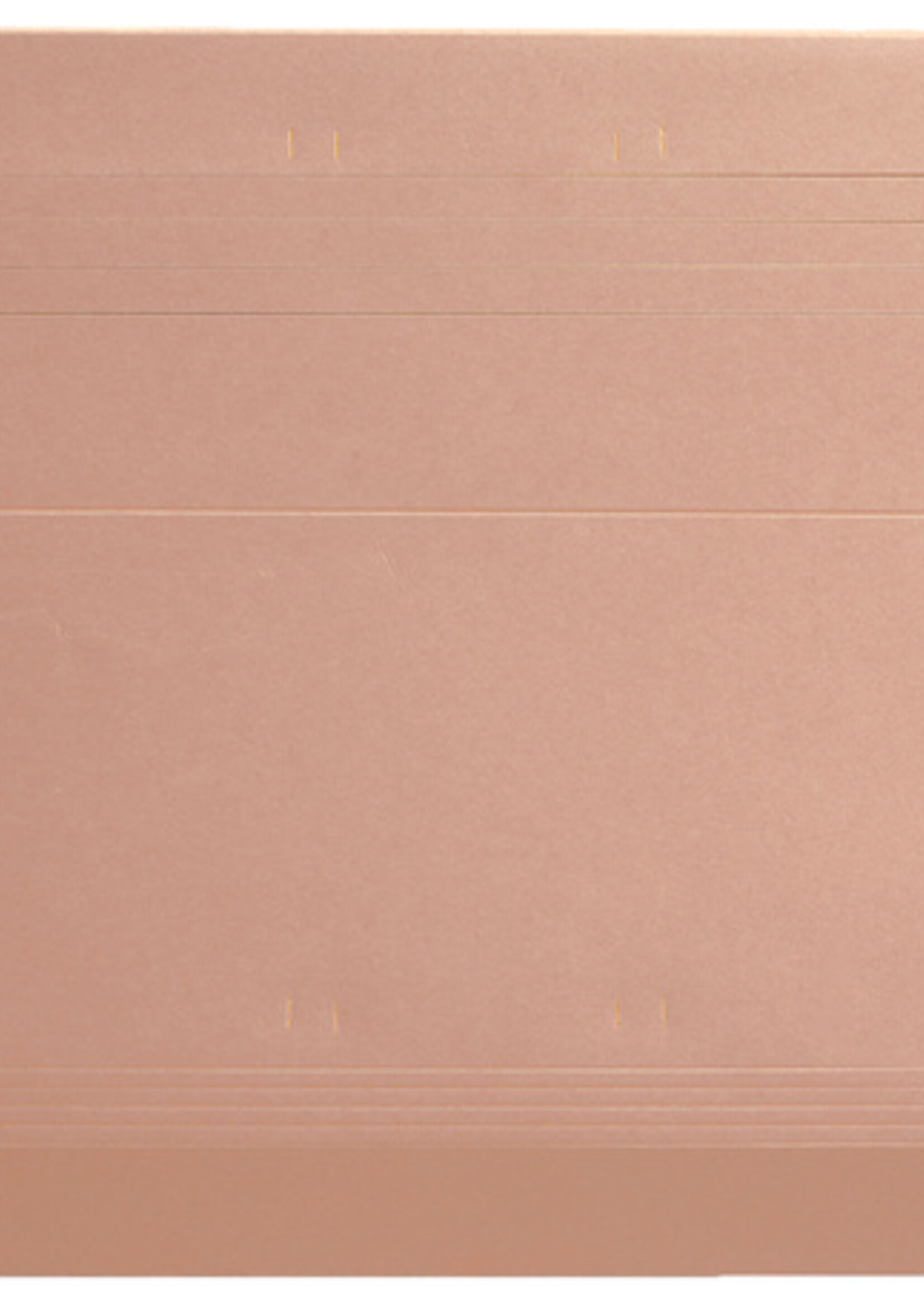 Quantore Dossier suspendu Quantore ICN1 A4 fond V chamois