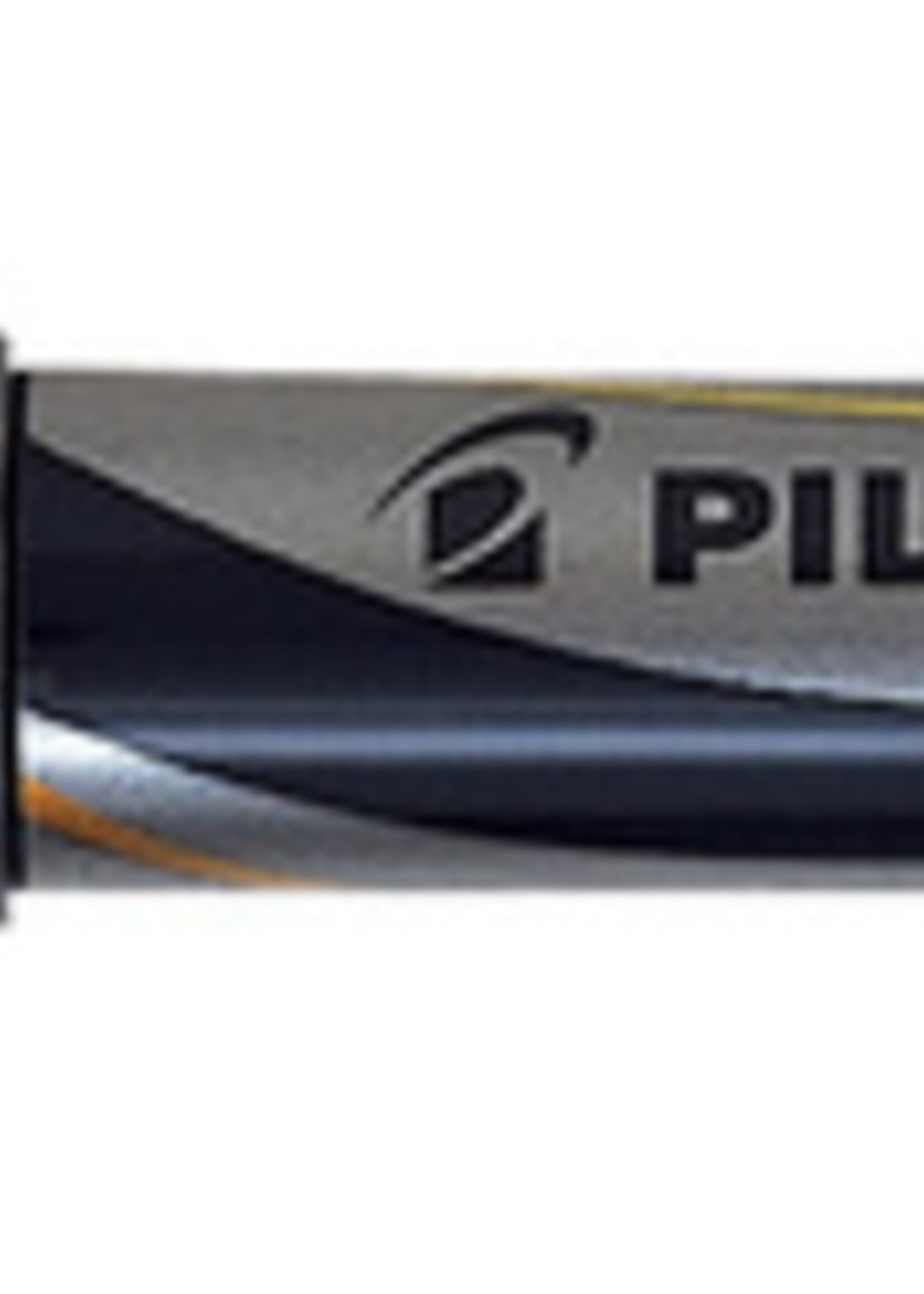 Pilot Stylo plume Pilot V-pen Silver bleu