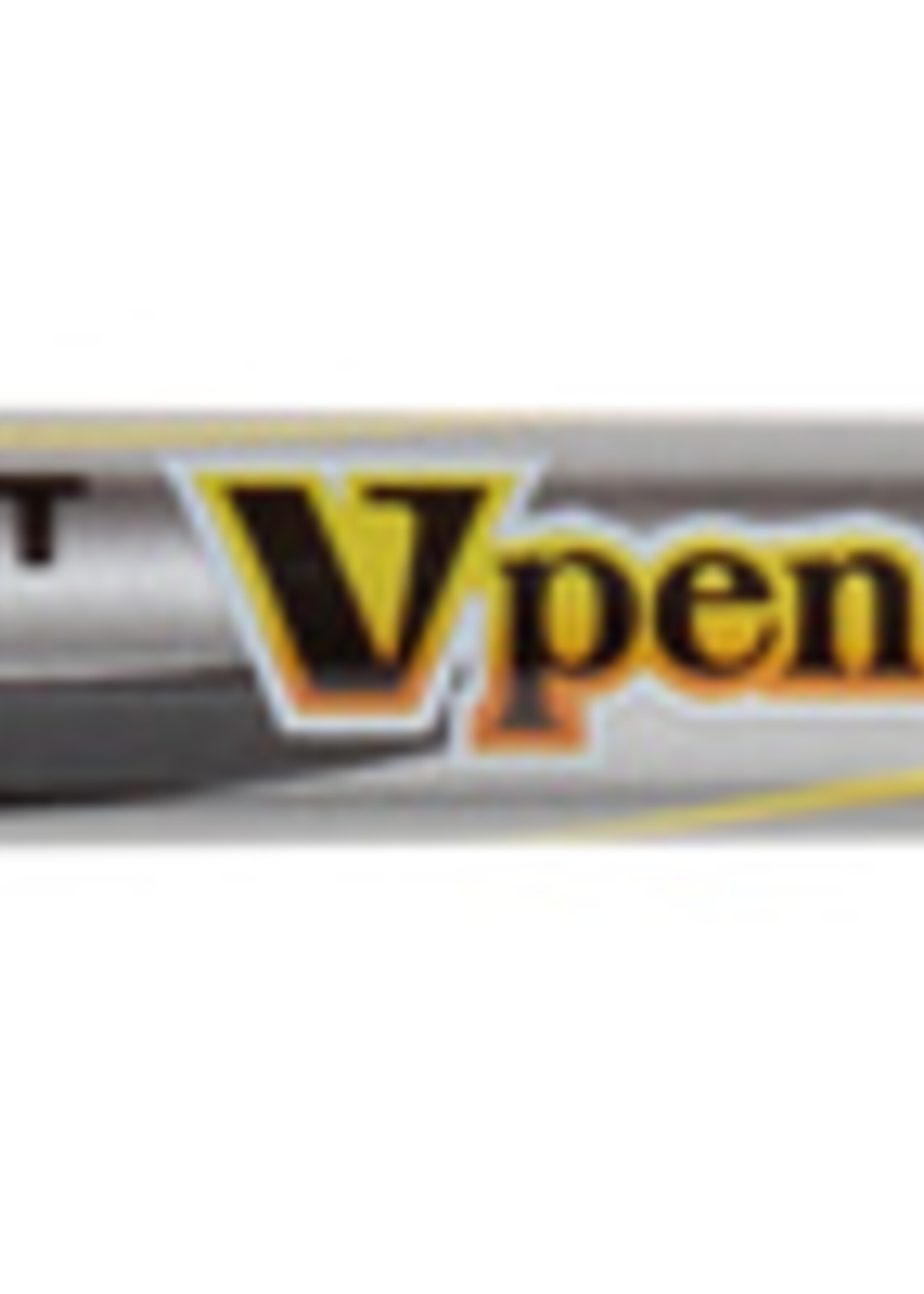 Pilot Stylo plume Pilot V-pen Silver bleu