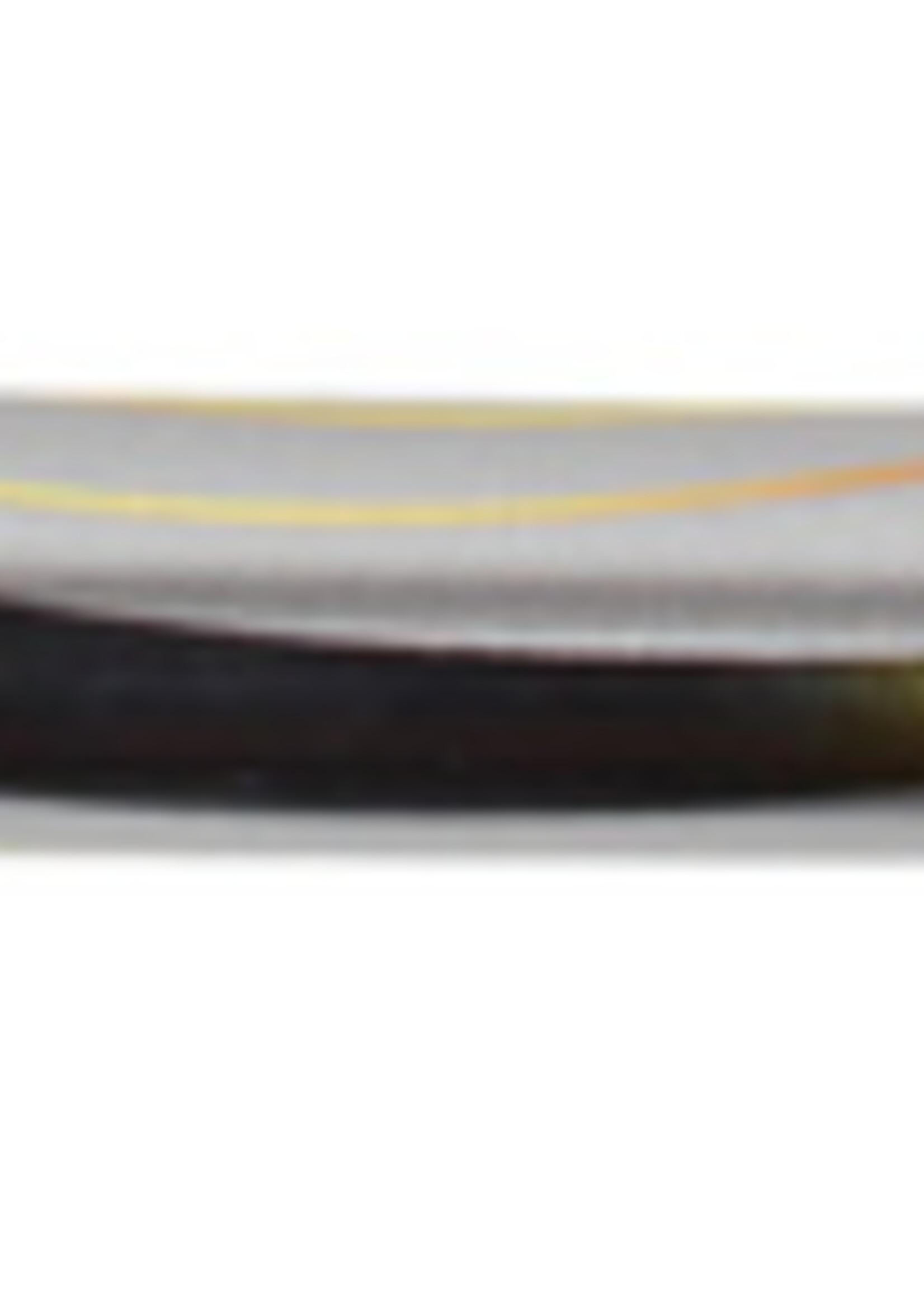 Pilot Stylo plume Pilot V-pen Silver bleu