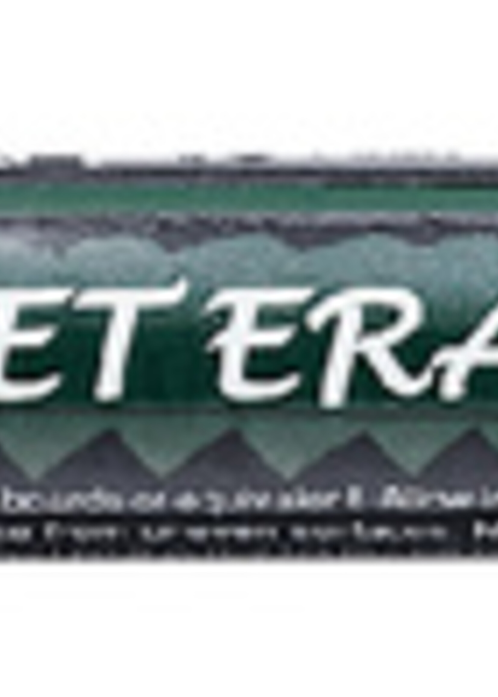 Pentel Marqueur Craie Pentel SMW26 2-4mm noir