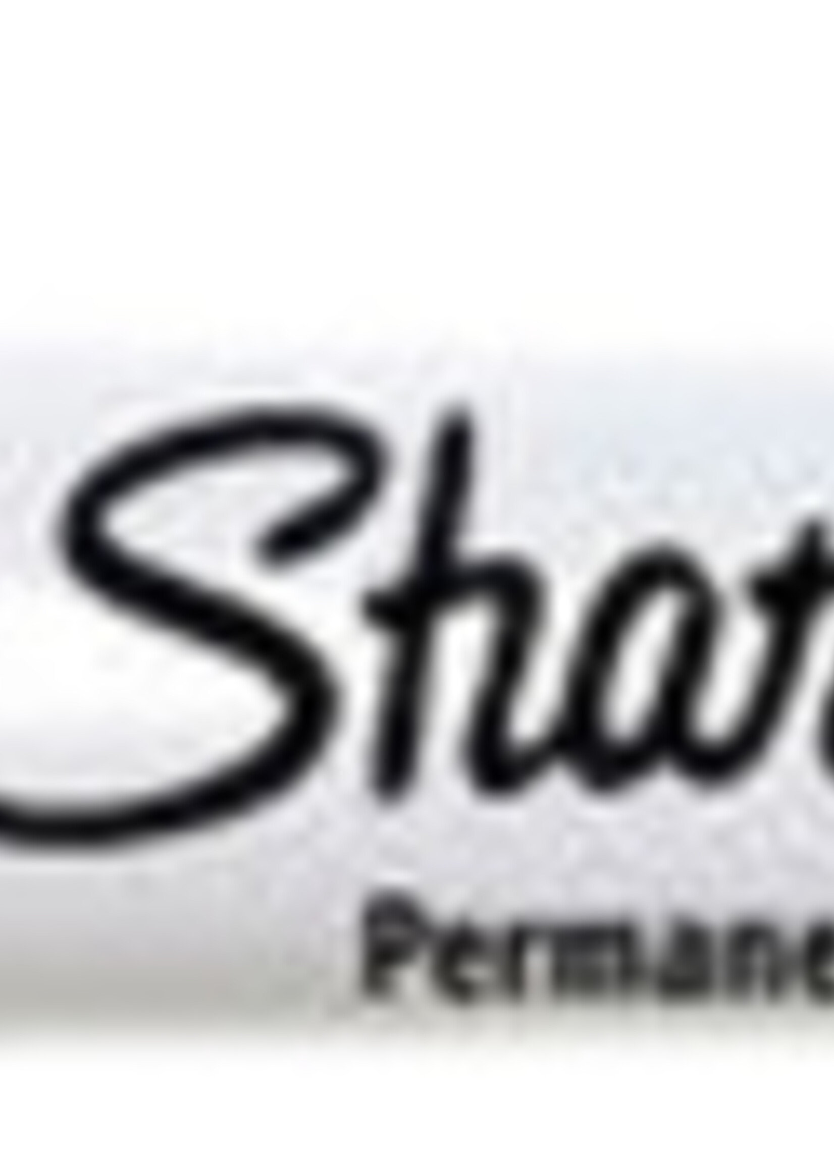 Sharpie Feutre Sharpie Twin Tip Ogive 0,5mm et 0,9mm noir blister 1 pièce