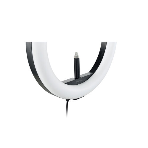 Kensington Ringlamp Kensington L1000 Bicolour met webcam mount