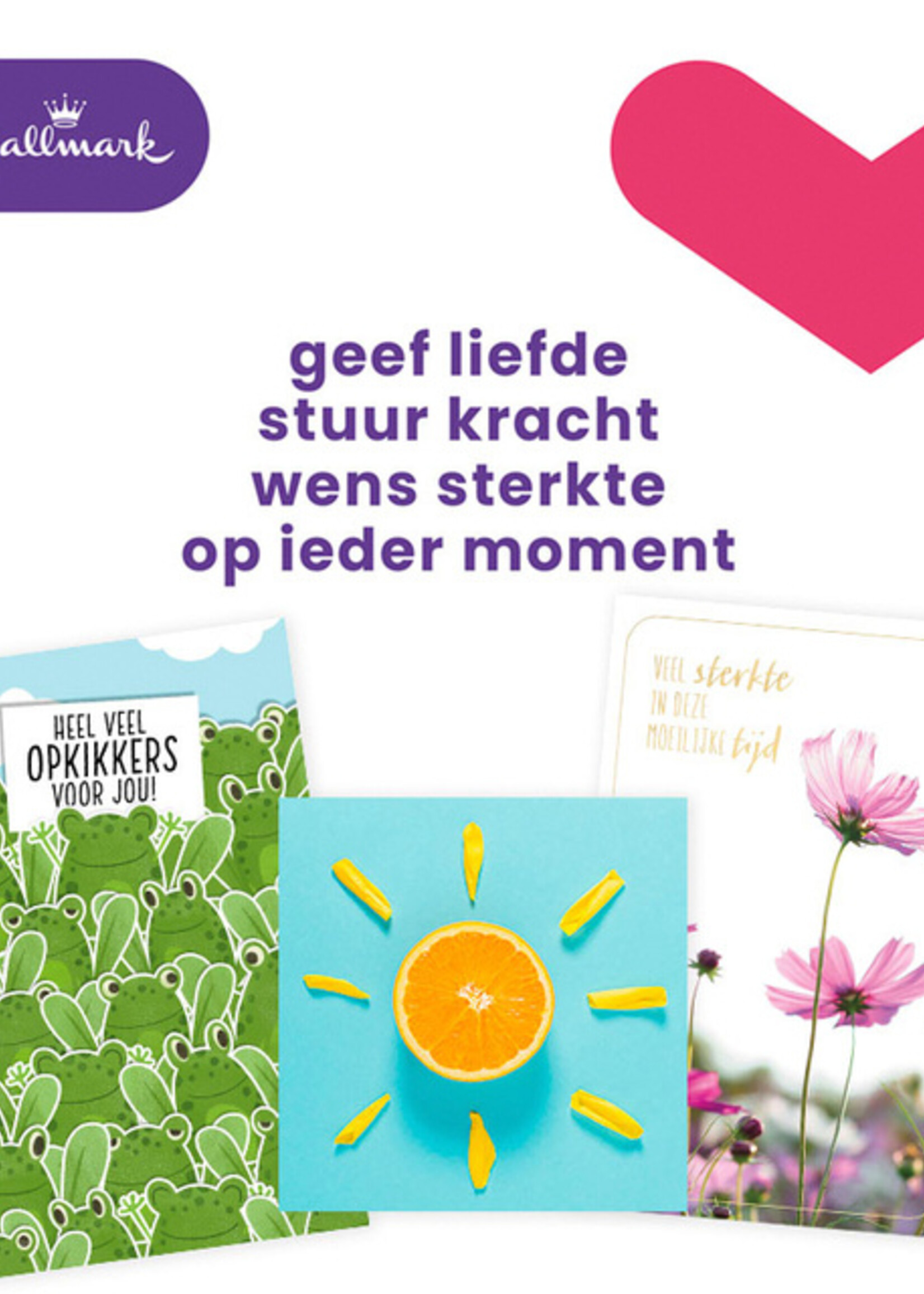 Hallmark Carte de voeux Hallmark recharge 'Beterschap/Sterkte' 12 cartes