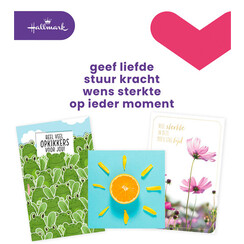 Carte de voeux Hallmark recharge 'Beterschap/Sterkte' 12 cartes