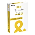 Rey Kopieerpapier Rey Text & Graphics A4 80gr wit 500vel