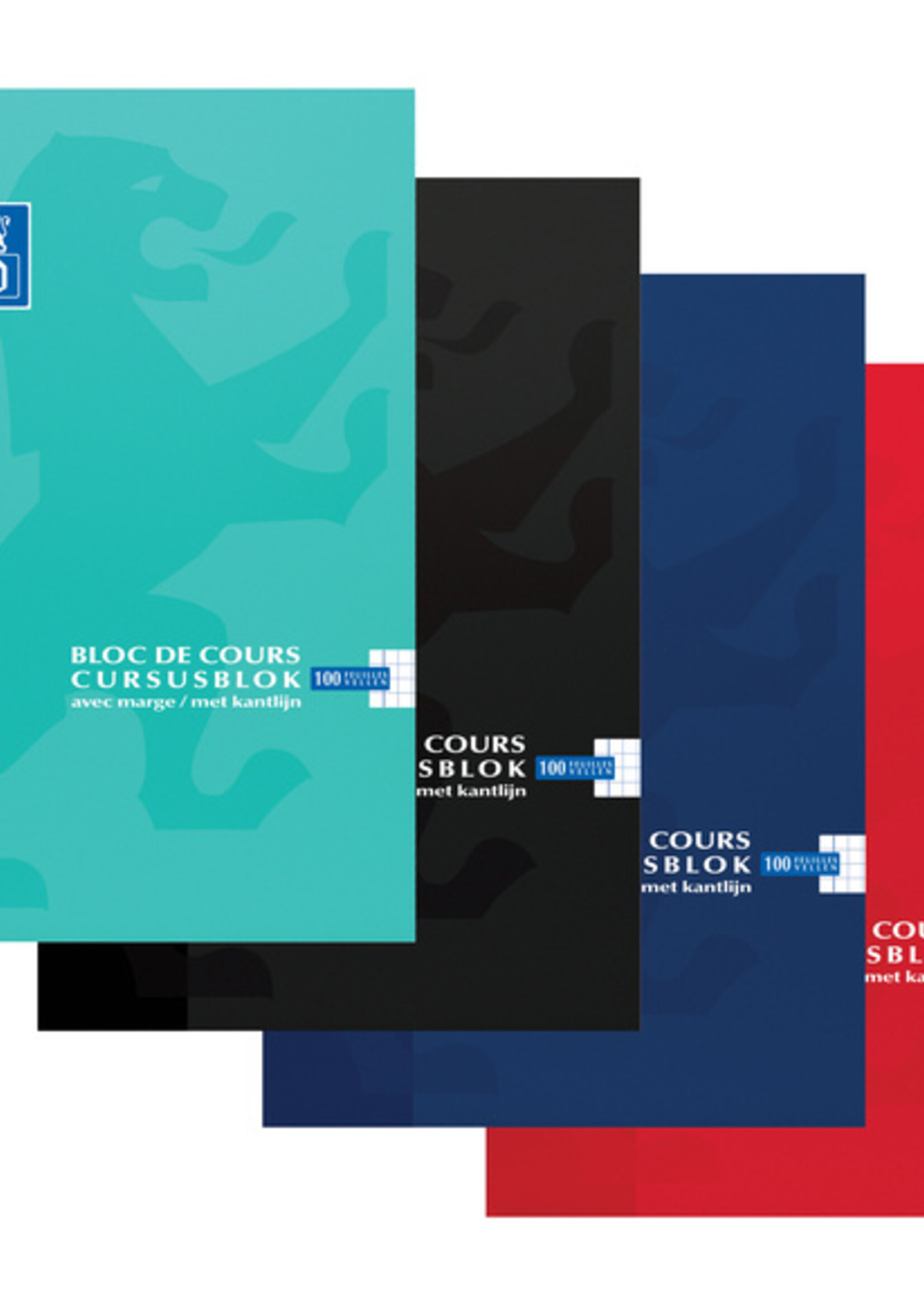Oxford Cursusblok Oxford School A4 2-gaats ruit 5mm 100vel assorti