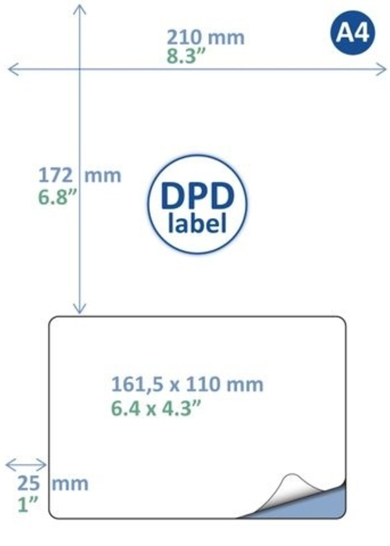 IEZZY Etiquette DPD IEZZY A4 1000 feuilles 161,5x100mm 1000 étiquettes