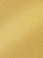 Folia Paper Carton photo Folia double face 50x70cm 250g nacré nr65 or